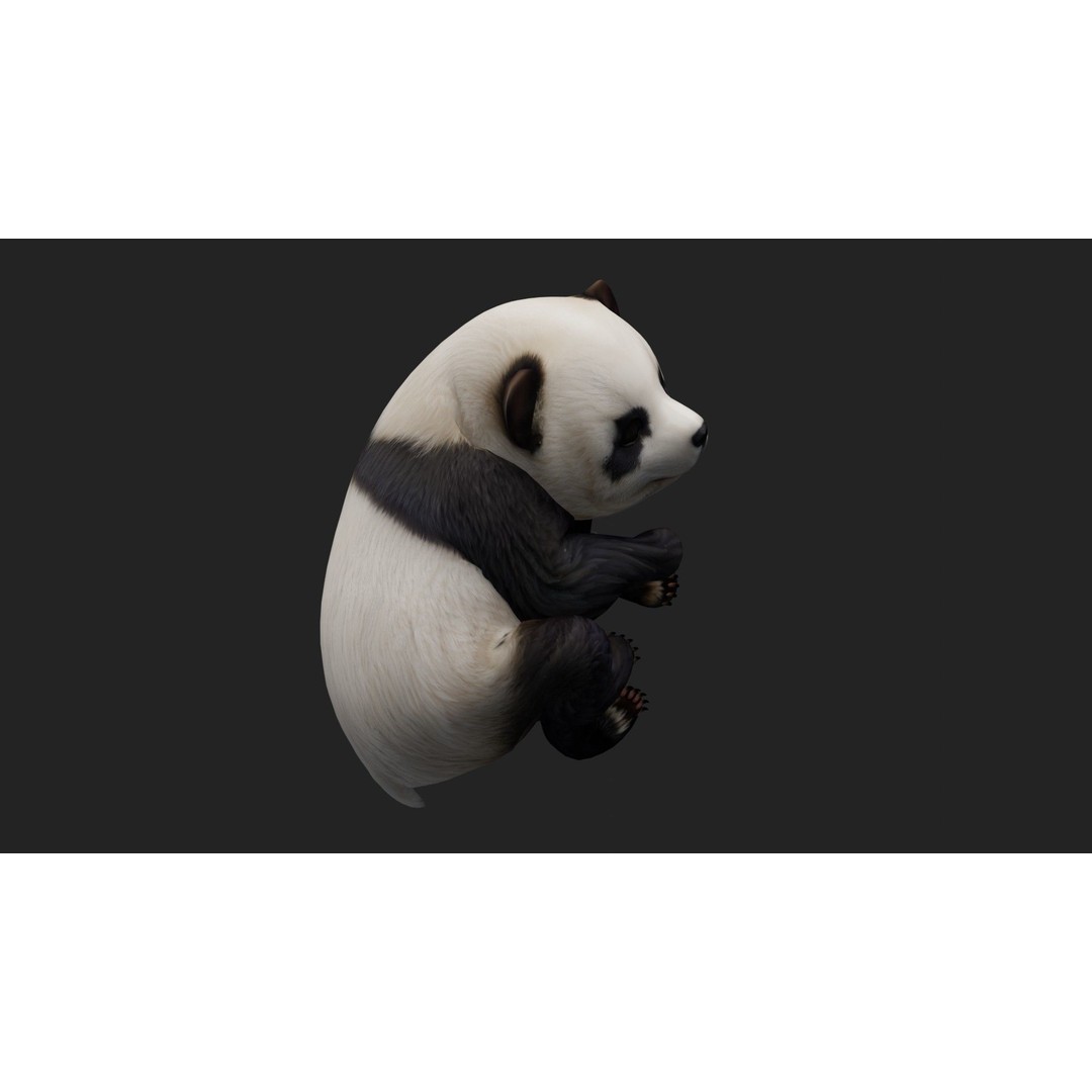 Panda 3D Model – Rigged Animated Character with PBR Textures - View 17