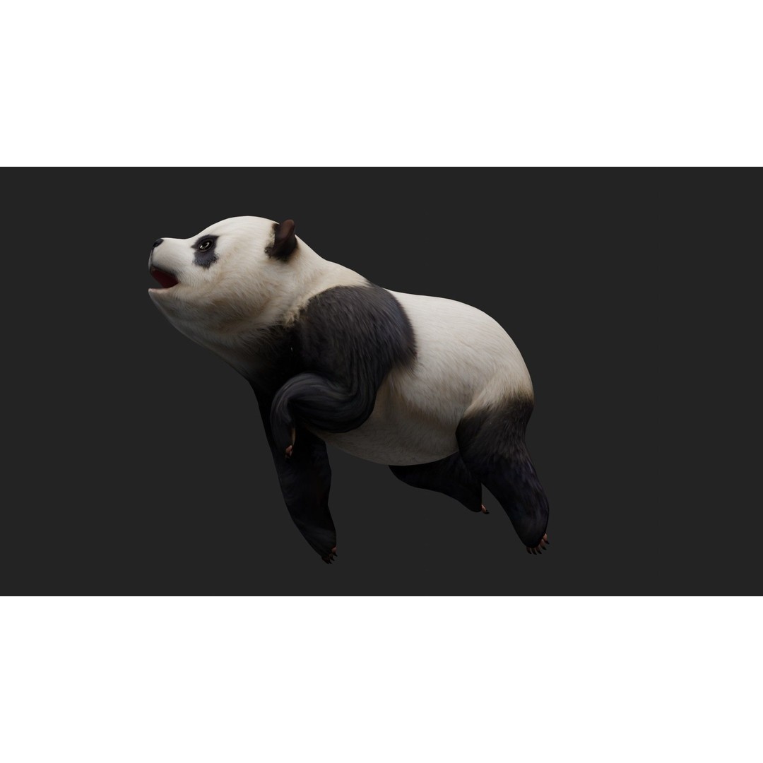 Panda 3D Model – Rigged Animated Character with PBR Textures - View 5