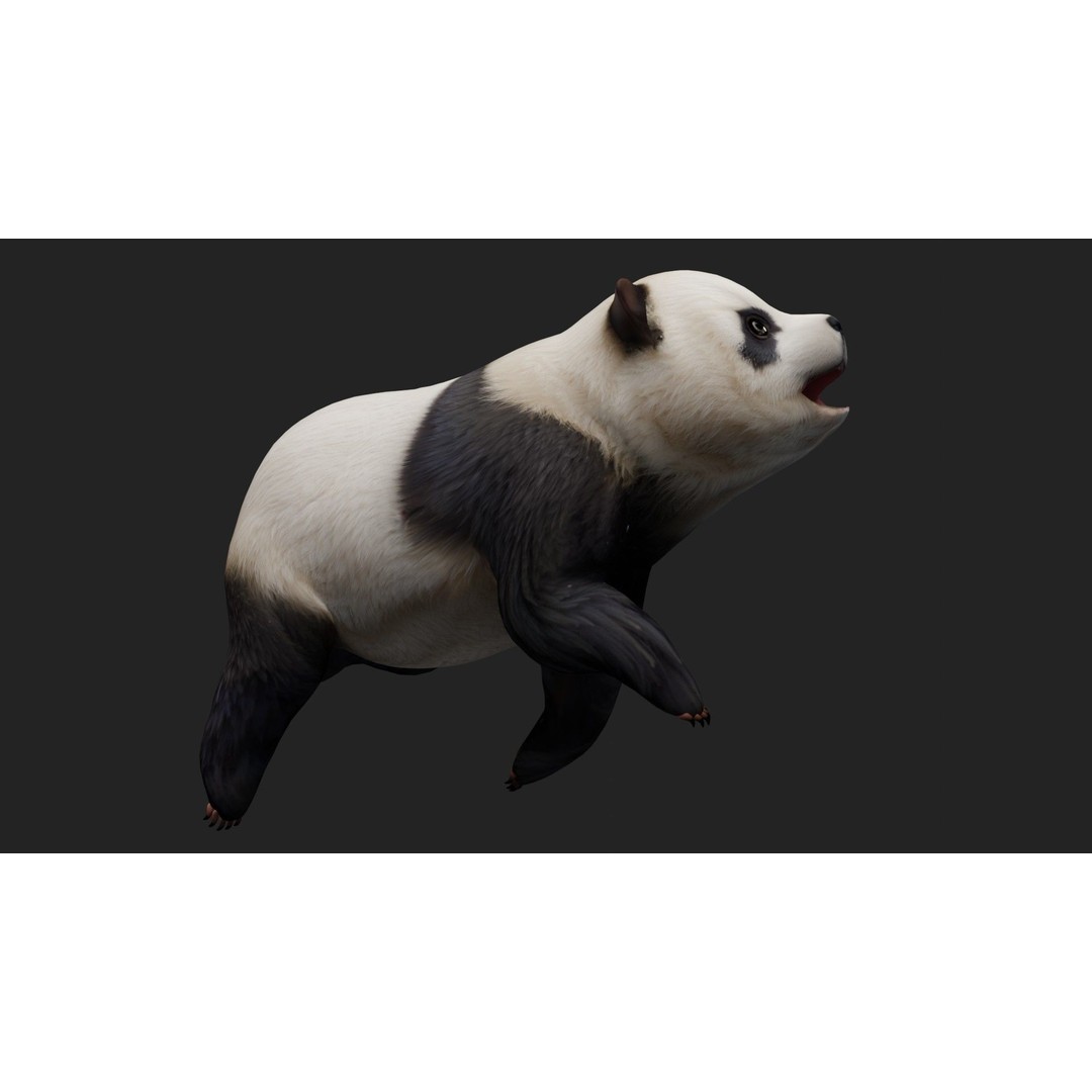 Panda 3D Model – Rigged Animated Character with PBR Textures - View 6