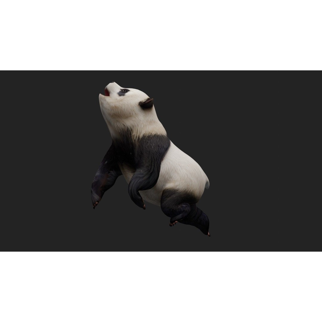 Panda 3D Model – Rigged Animated Character with PBR Textures - View 7