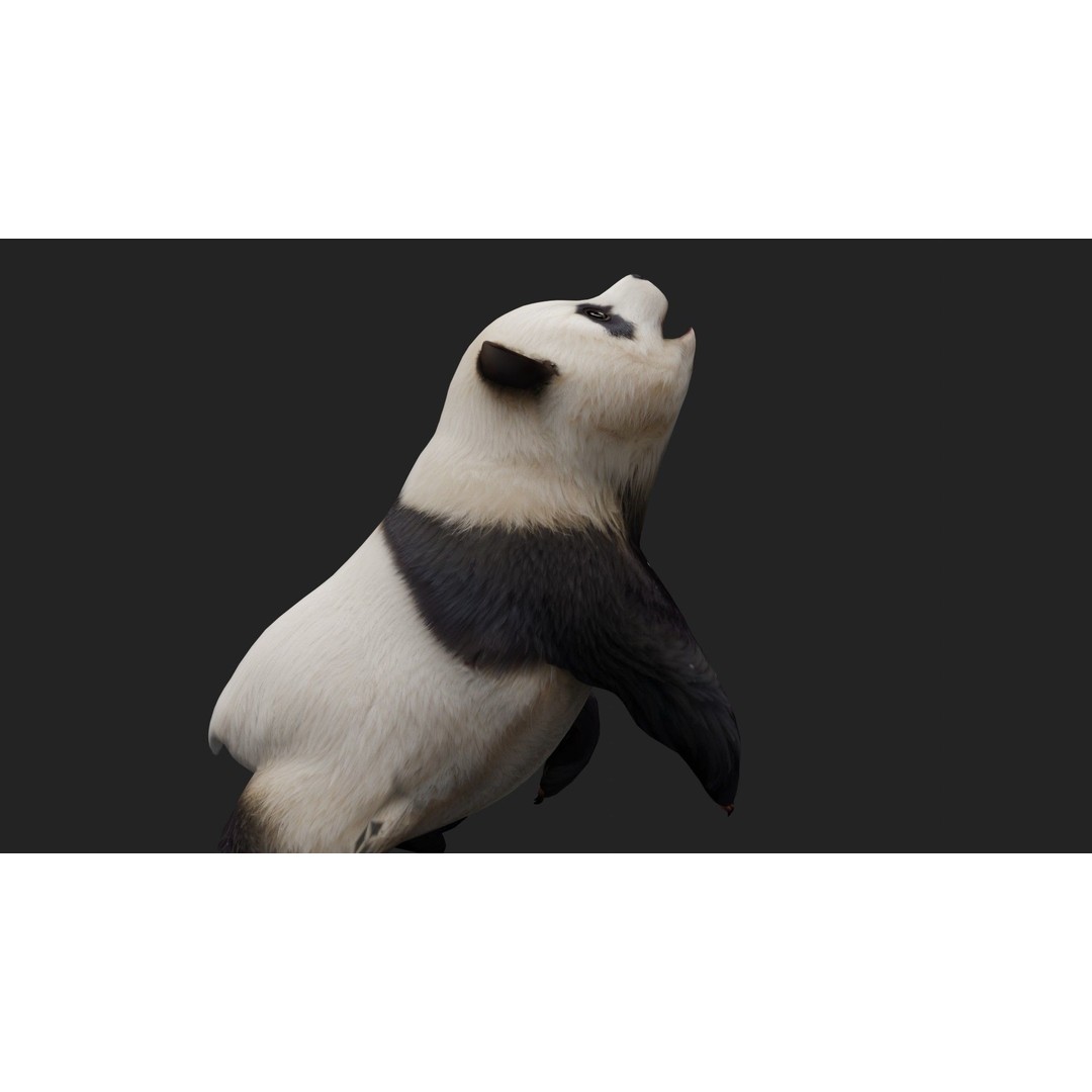 Panda 3D Model – Rigged Animated Character with PBR Textures - View 8
