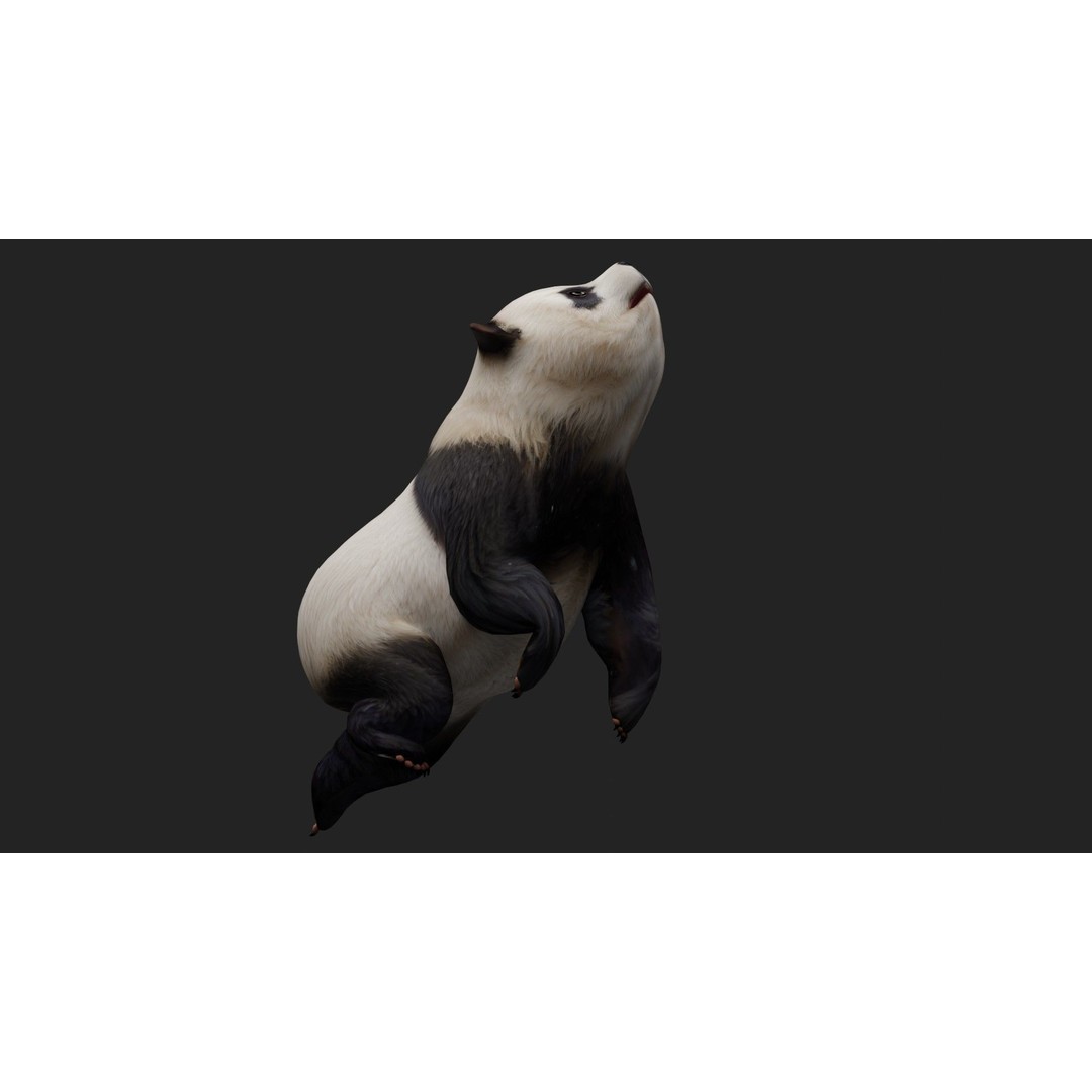 Panda 3D Model – Rigged Animated Character with PBR Textures - View 9