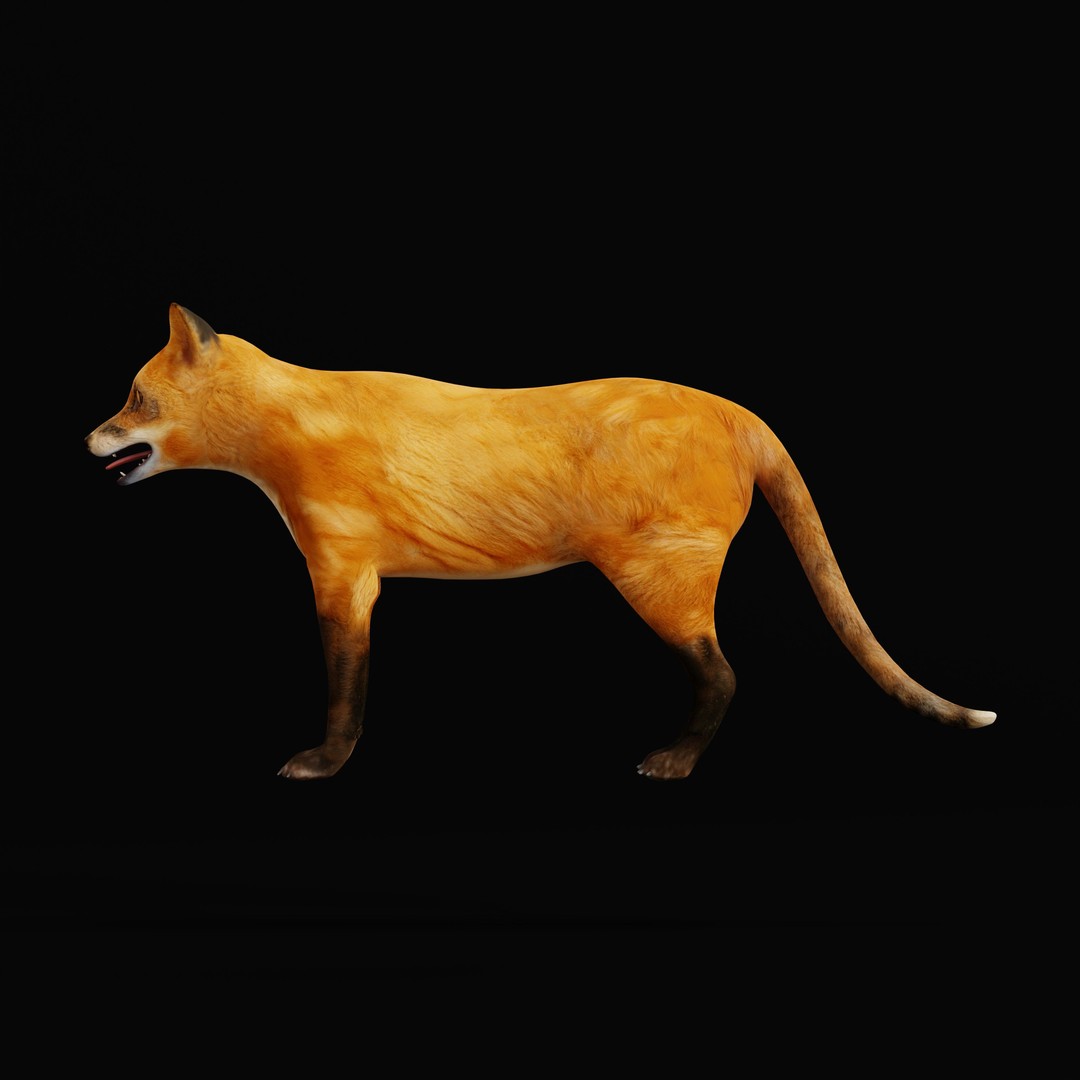 Red Fox 3D Model – Low Poly Game Ready Character with Animations - View 15