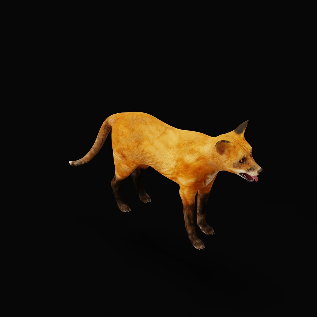 Red Fox 3D Model – Low Poly Game Ready Character with Animations - View 18