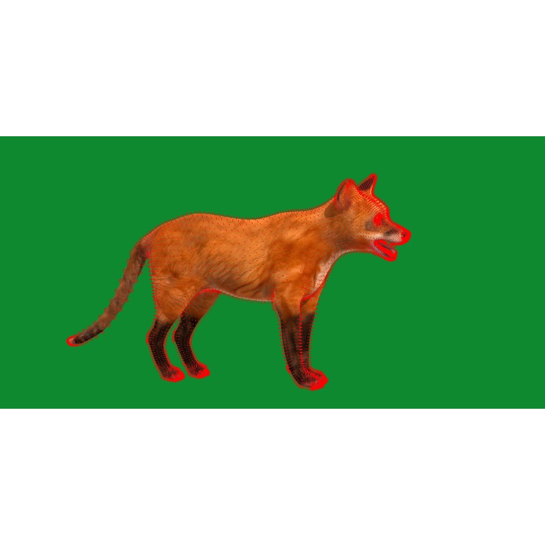 Red Fox 3D Model – Low Poly Game Ready Character with Animations - View 39