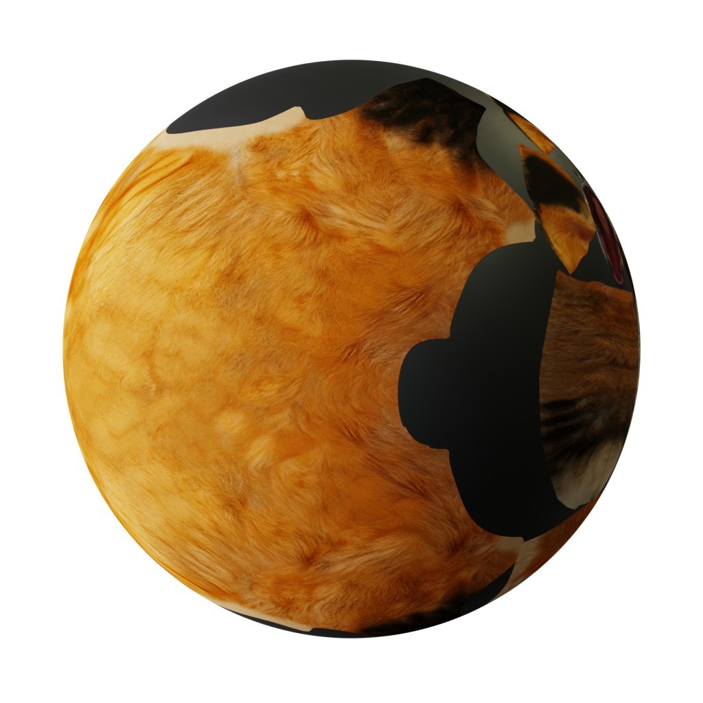 Red Fox 3D Model – Low Poly Game Ready Character with Animations - View 44