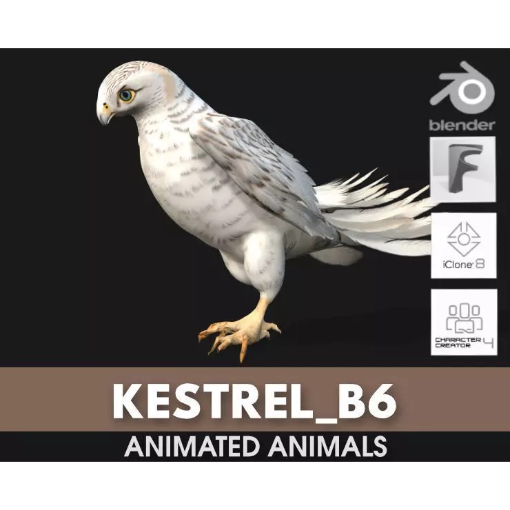 Kestrel B6 3D Model – Rigged Animated Bird with PBR Textures - View 2