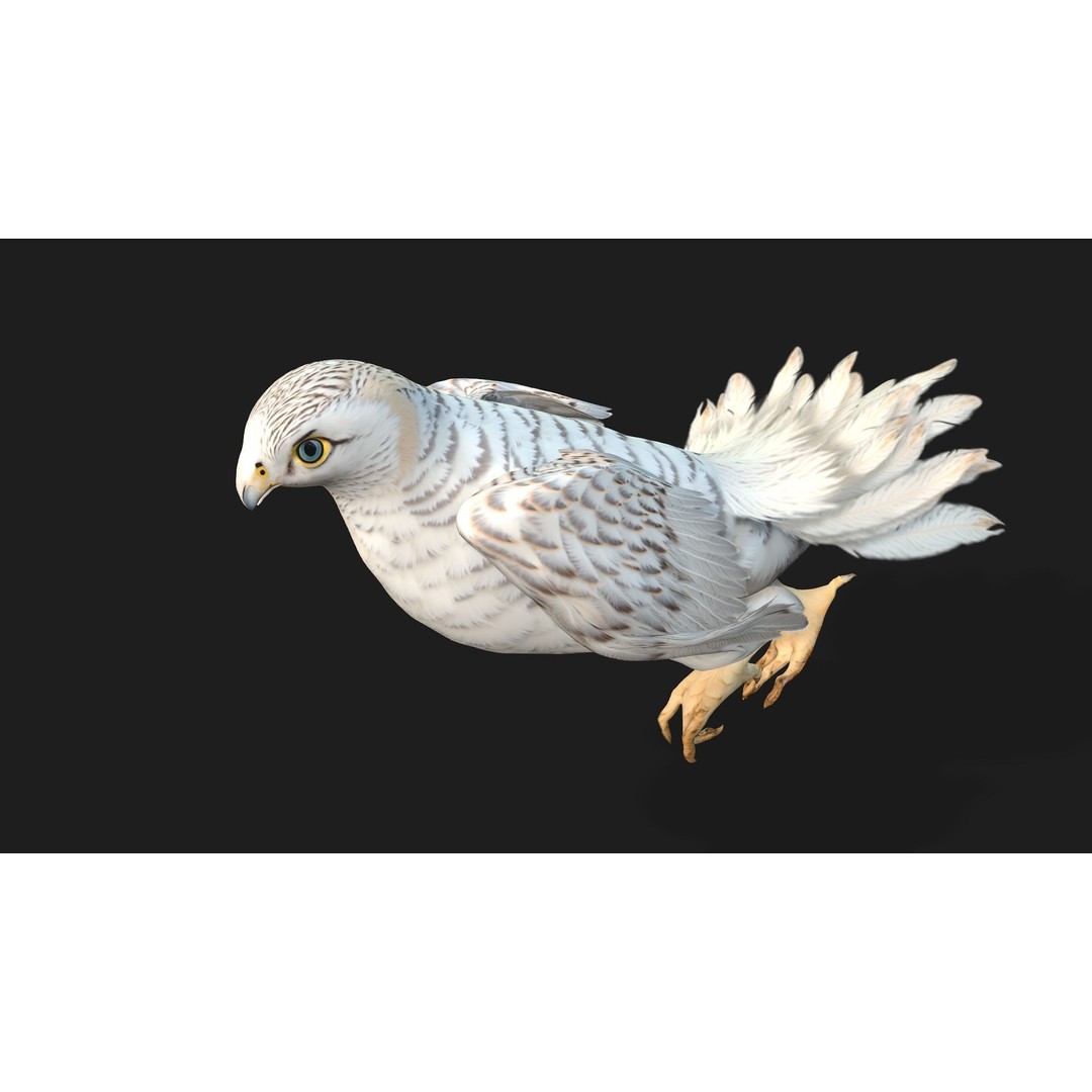 Kestrel B6 3D Model – Rigged Animated Bird with PBR Textures - View 6
