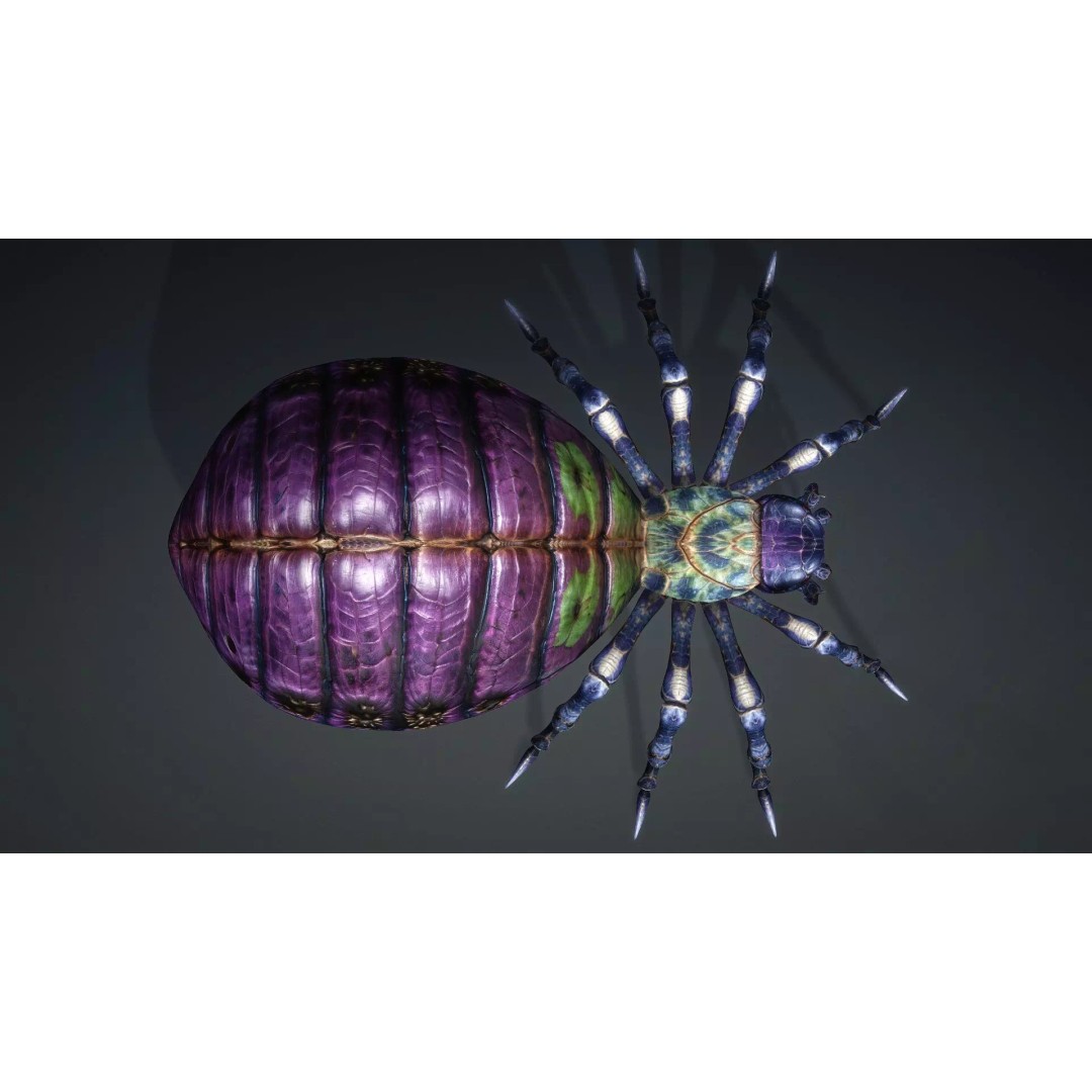 Spider-C3 3D Model – Low Poly Rigged Insect with PBR Textures - View 14