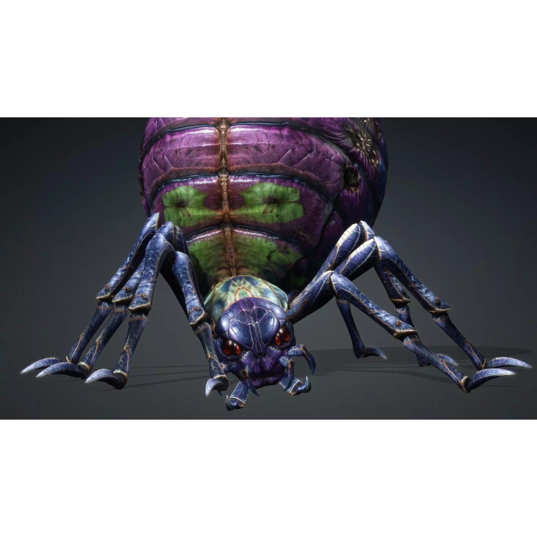 Spider-C3 3D Model – Low Poly Rigged Insect with PBR Textures - View 9