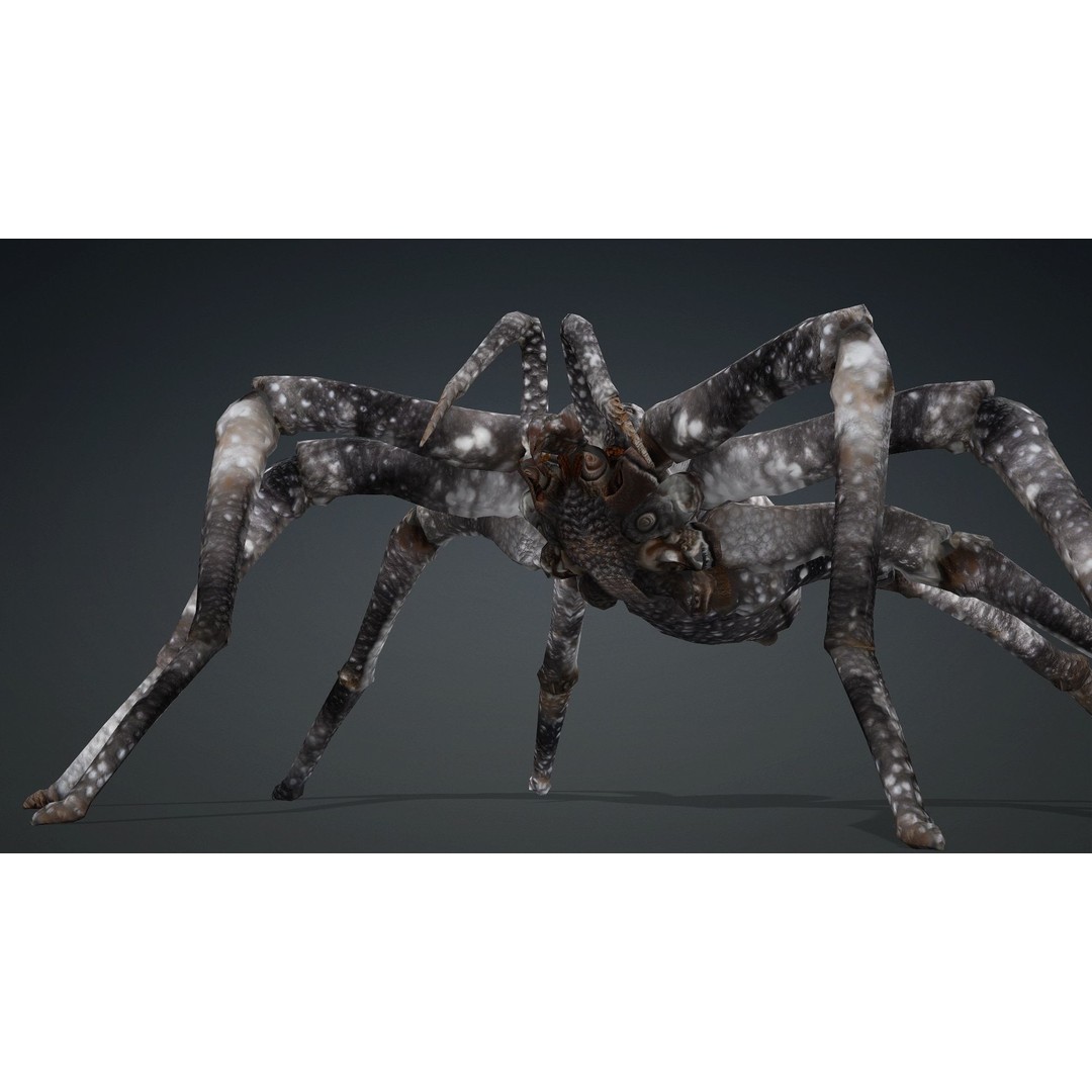 Spider 3D Model – Rigged Animated Insect Asset for Blender, FBX - View 11