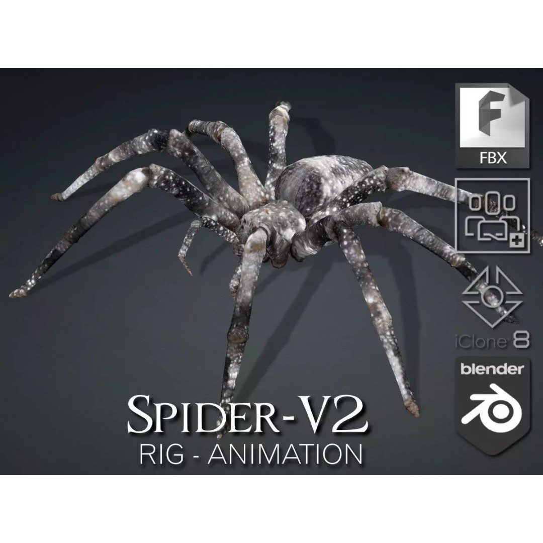 Spider 3D Model – Rigged Animated Insect Asset for Blender, FBX - View 2