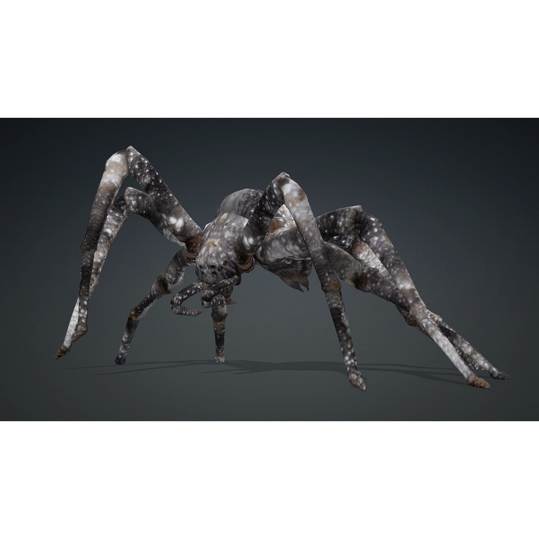 Spider 3D Model – Rigged Animated Insect Asset for Blender, FBX - View 9