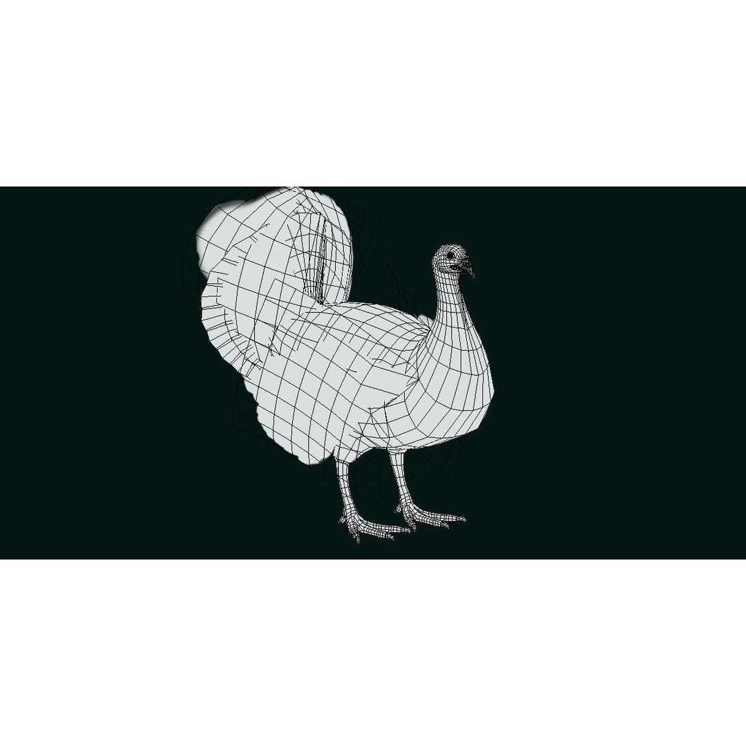 Australian Brush Turkey 3D Model – Low Poly Game Asset, FBX & PBR Textures - View 10