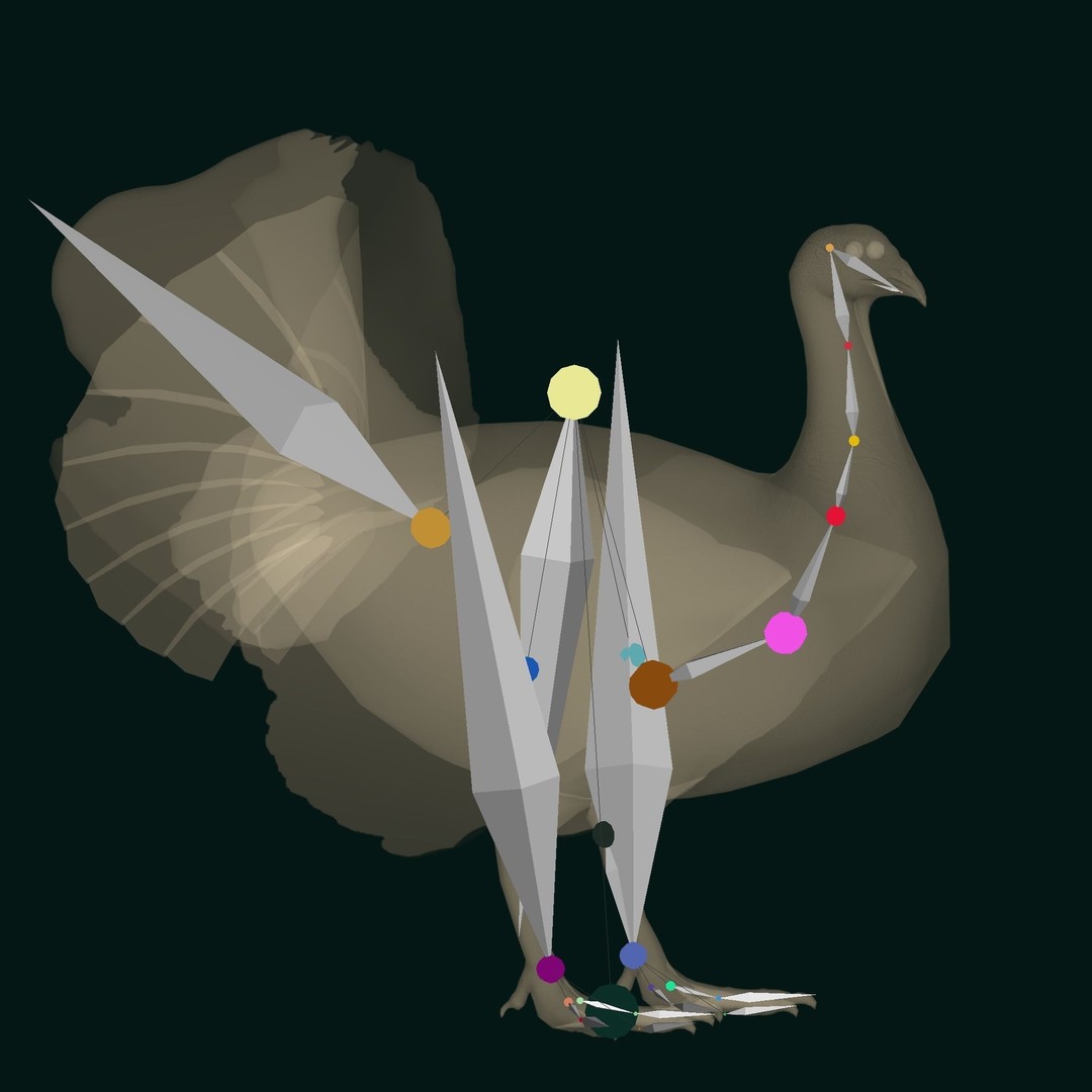 Australian Brush Turkey 3D Model – Low Poly Game Asset, FBX & PBR Textures - View 18