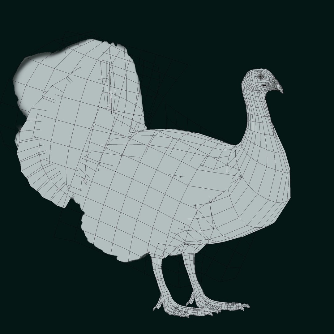 Australian Brush Turkey 3D Model – Low Poly Game Asset, FBX & PBR Textures - View 19