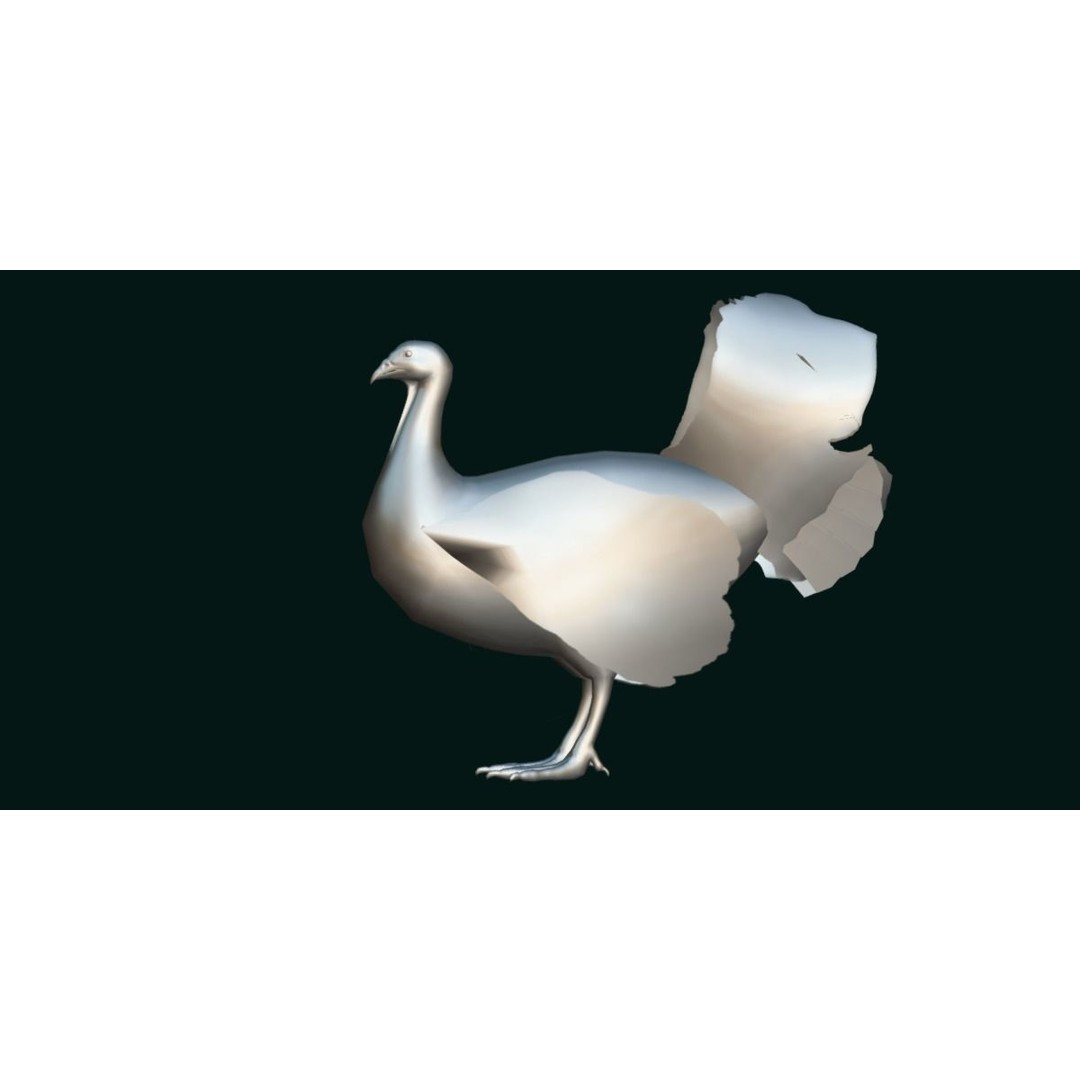 Australian Brush Turkey 3D Model – Low Poly Game Asset, FBX & PBR Textures - View 25