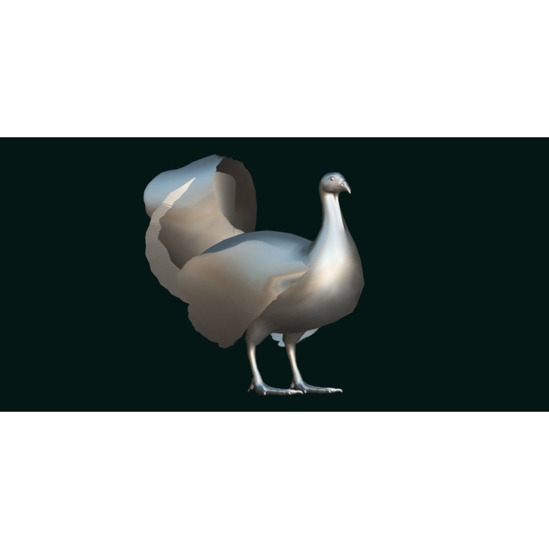 Australian Brush Turkey 3D Model – Low Poly Game Asset, FBX & PBR Textures - View 26