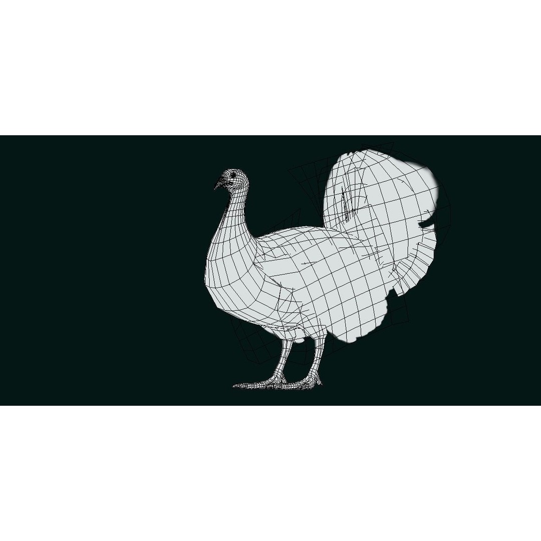 Australian Brush Turkey 3D Model – Low Poly Game Asset, FBX & PBR Textures - View 9