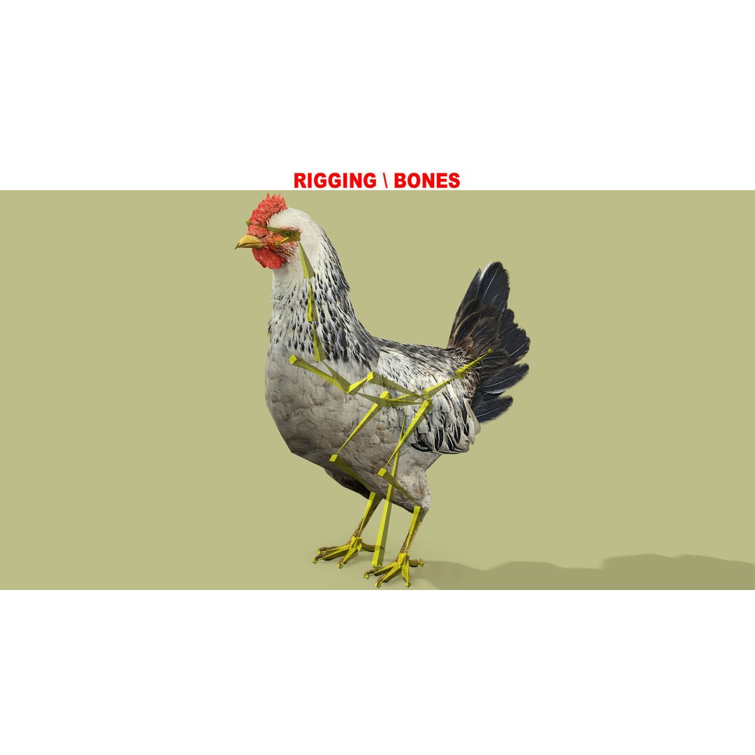 Hen 3D Model – Low Poly Rigged Animated Character, FBX, OBJ - View 11