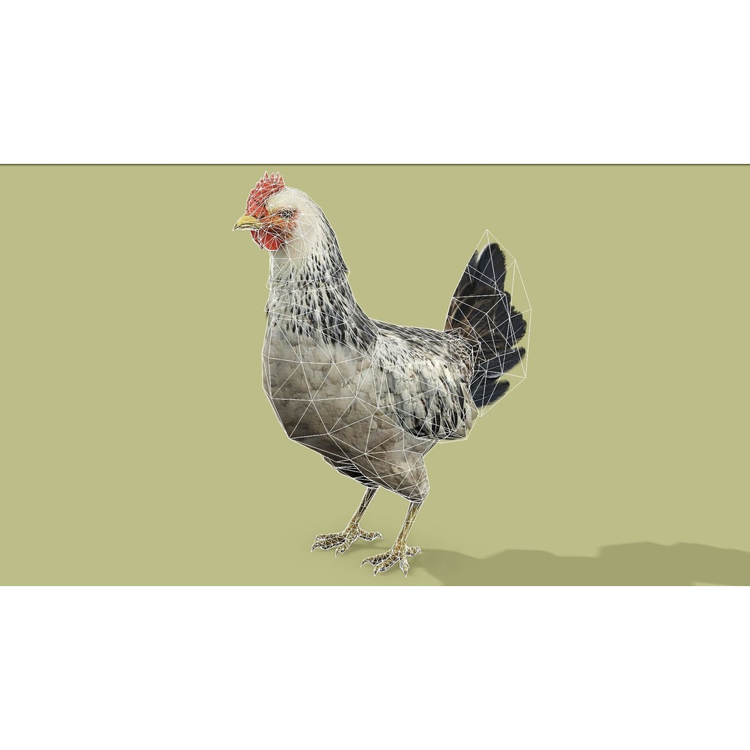 Hen 3D Model – Low Poly Rigged Animated Character, FBX, OBJ - View 13