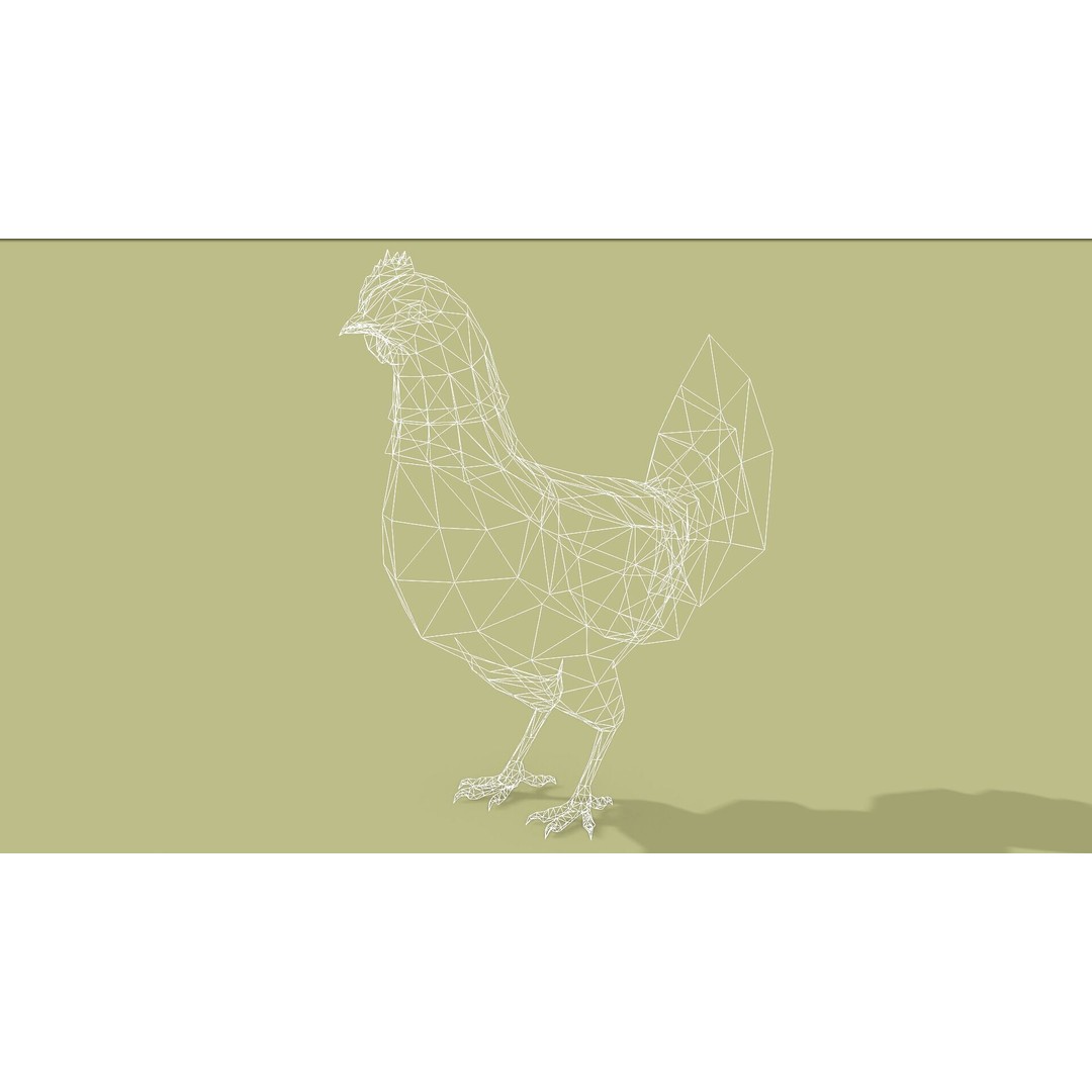 Hen 3D Model – Low Poly Rigged Animated Character, FBX, OBJ - View 14