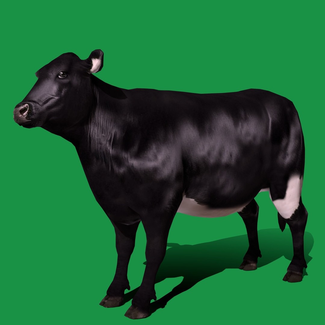 Black Cow 3D Model – Low Poly Game Ready Character with Animations - View 11
