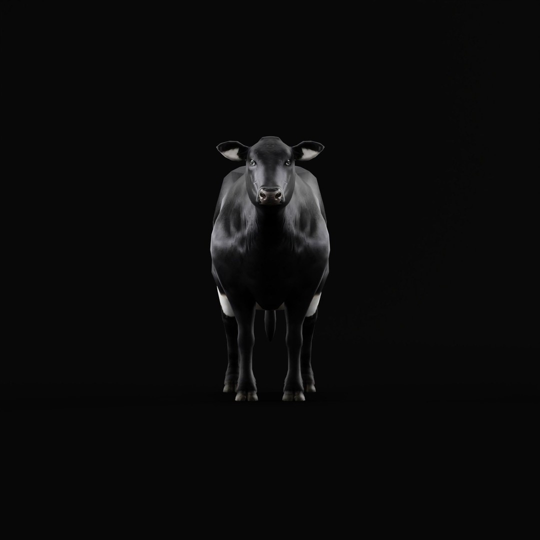 Black Cow 3D Model – Low Poly Game Ready Character with Animations - View 12