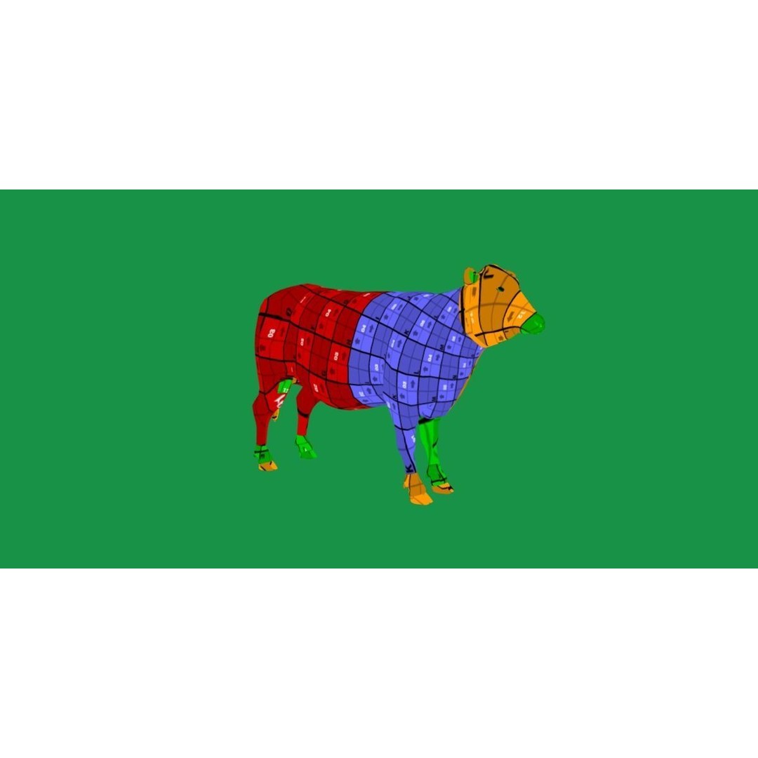 Black Cow 3D Model – Low Poly Game Ready Character with Animations - View 13
