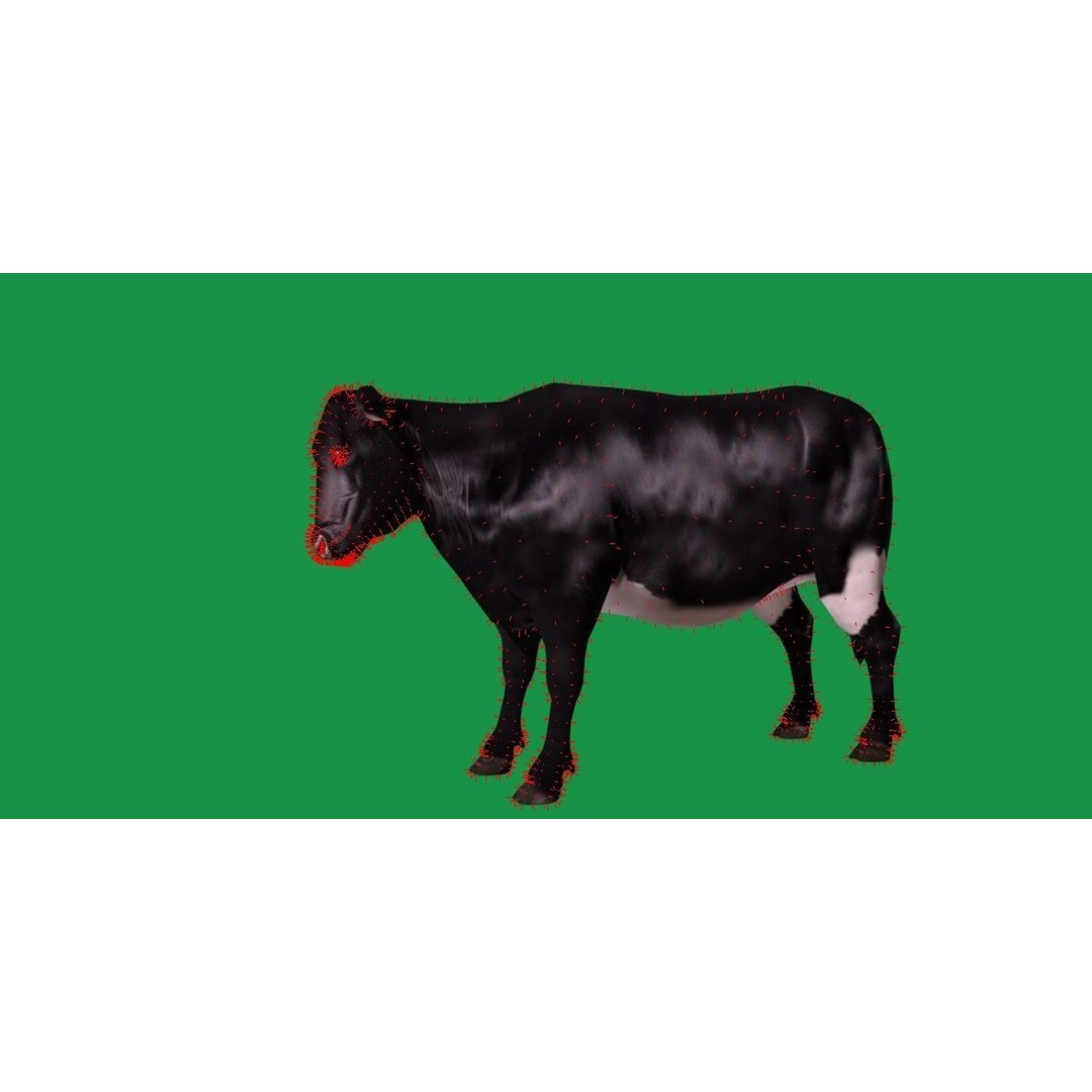 Black Cow 3D Model – Low Poly Game Ready Character with Animations - View 16