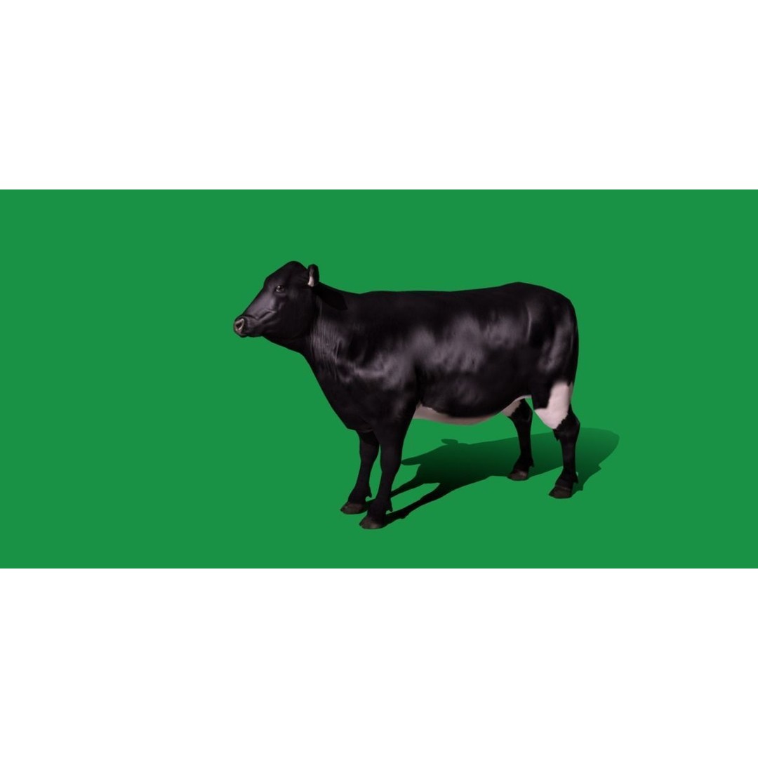 Black Cow 3D Model – Low Poly Game Ready Character with Animations - View 19
