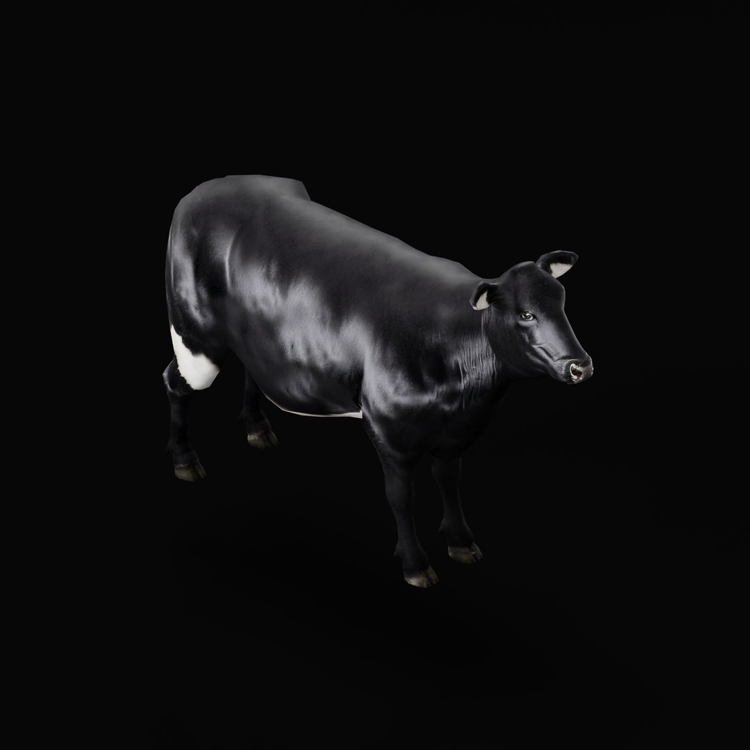 Black Cow 3D Model – Low Poly Game Ready Character with Animations - View 21
