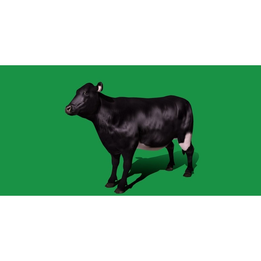 Black Cow 3D Model – Low Poly Game Ready Character with Animations - View 29