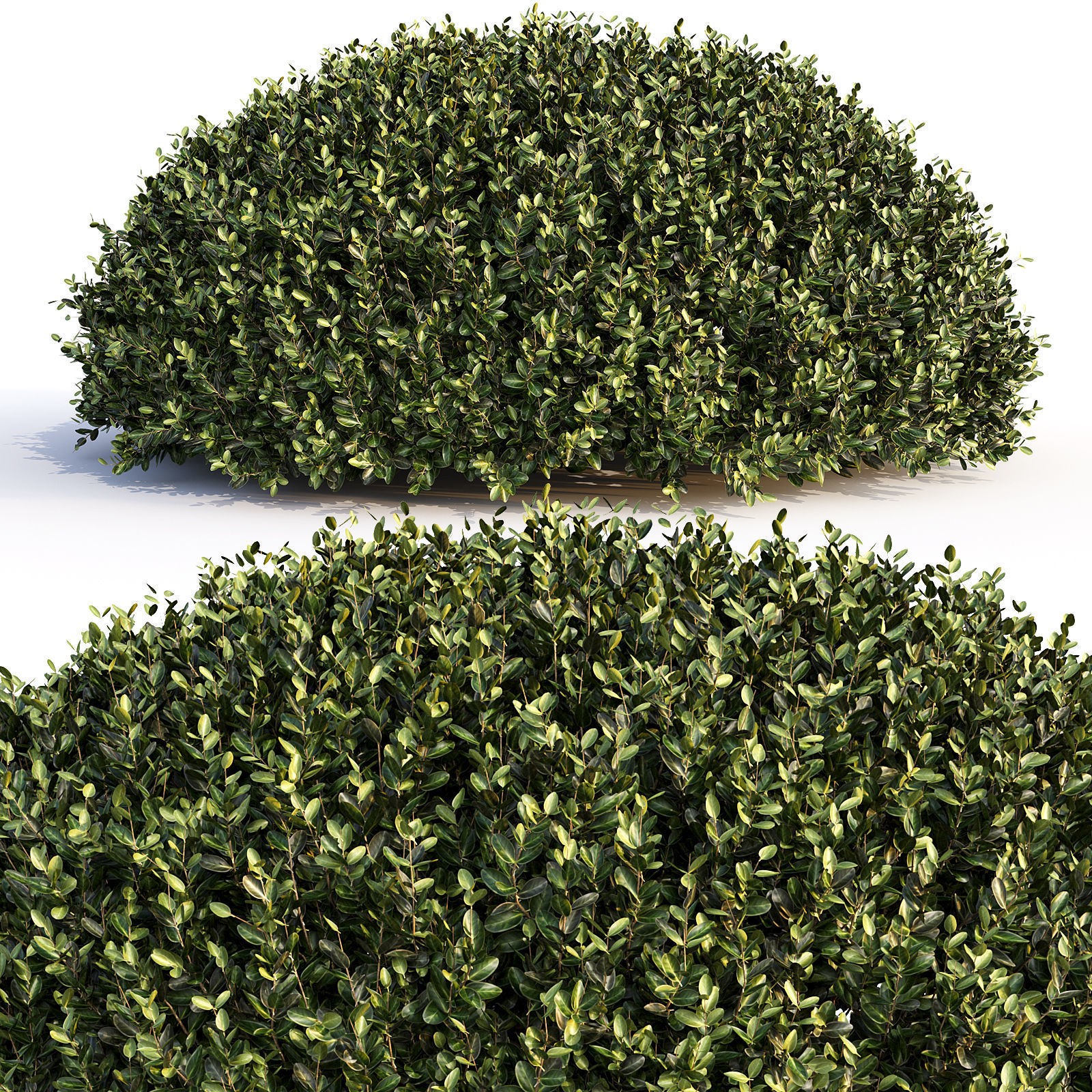 16 Professional Topiary Plants - Game-Ready 3D Model - View 10