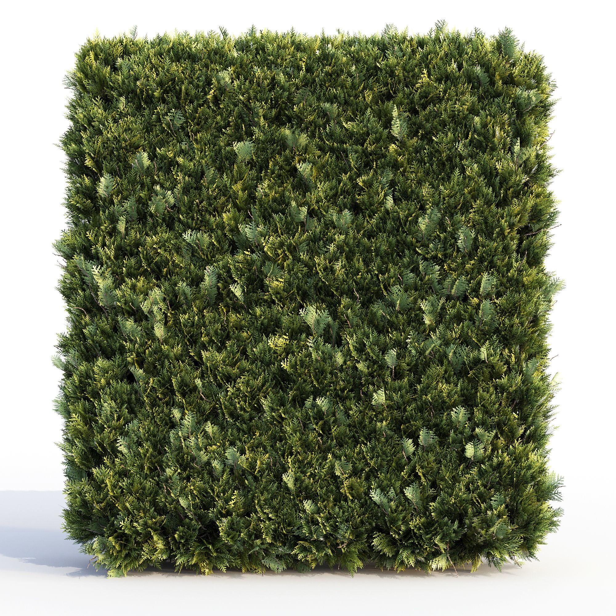 16 Professional Topiary Plants - Game-Ready 3D Model - View 13