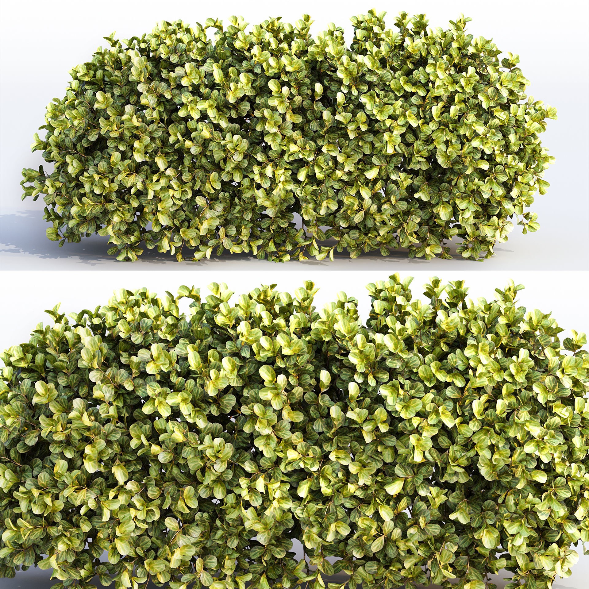 16 Professional Topiary Plants - Game-Ready 3D Model - View 14