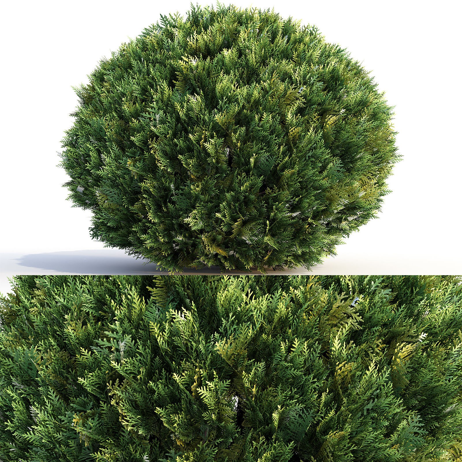16 Professional Topiary Plants - Game-Ready 3D Model - View 17