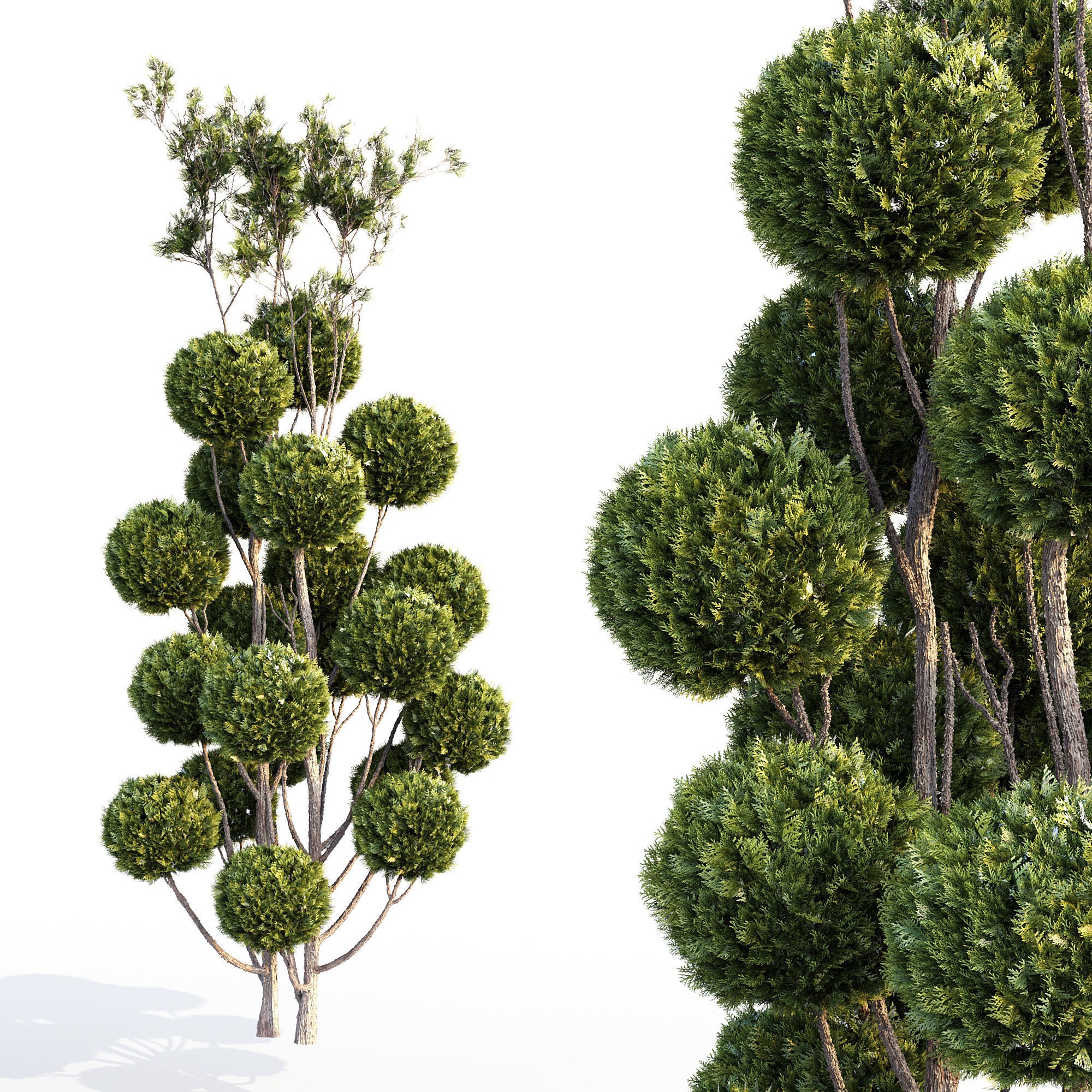 16 Professional Topiary Plants - Game-Ready 3D Model - View 4