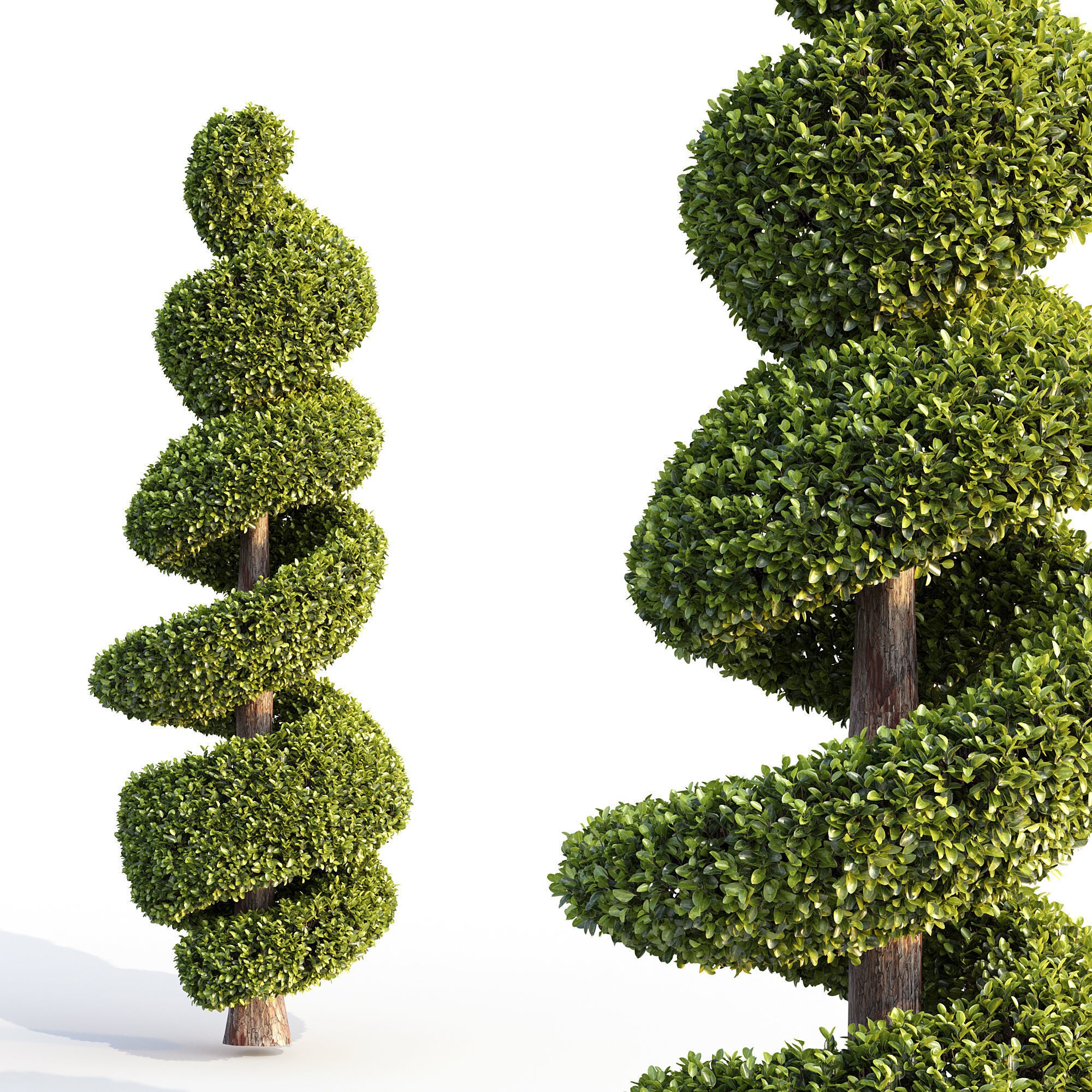 16 Professional Topiary Plants - Game-Ready 3D Model - View 5