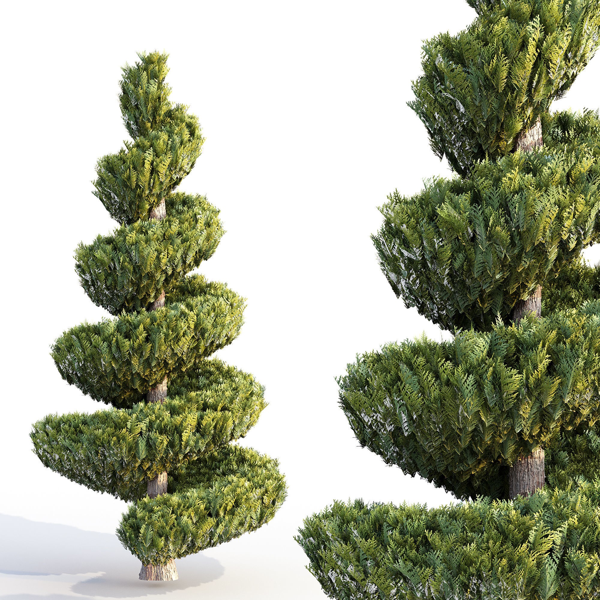 16 Professional Topiary Plants - Game-Ready 3D Model - View 6