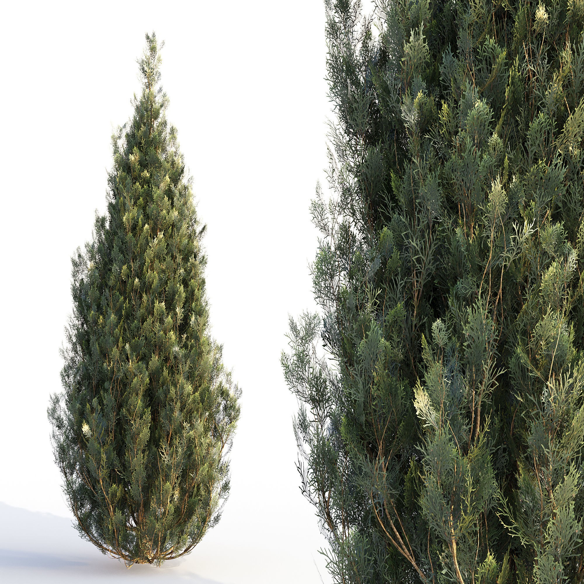 16 Professional Topiary Plants - Game-Ready 3D Model - View 7