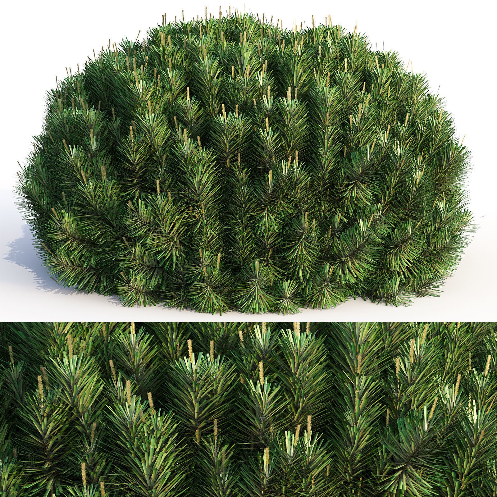 16 Professional Topiary Plants - Game-Ready 3D Model - View 9