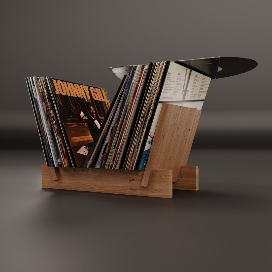 Vinyl Storage 3D Model – Realistic Furniture Organizer, FBX, Blender - View 3