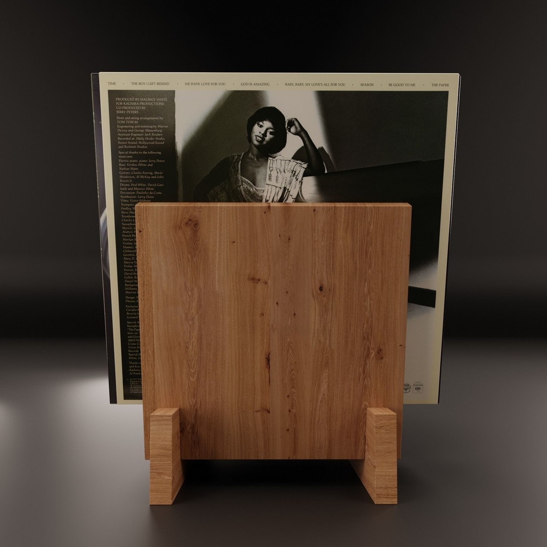 Vinyl Storage 3D Model – Realistic Furniture Organizer, FBX, Blender - View 9
