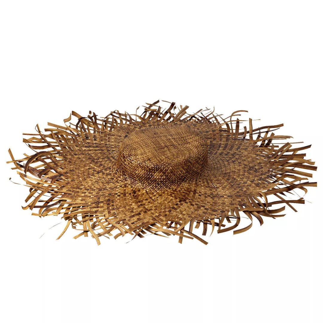 Balinese Straw Wicker Hat 3D Model – High Poly Bamboo Decor, FBX - View 2