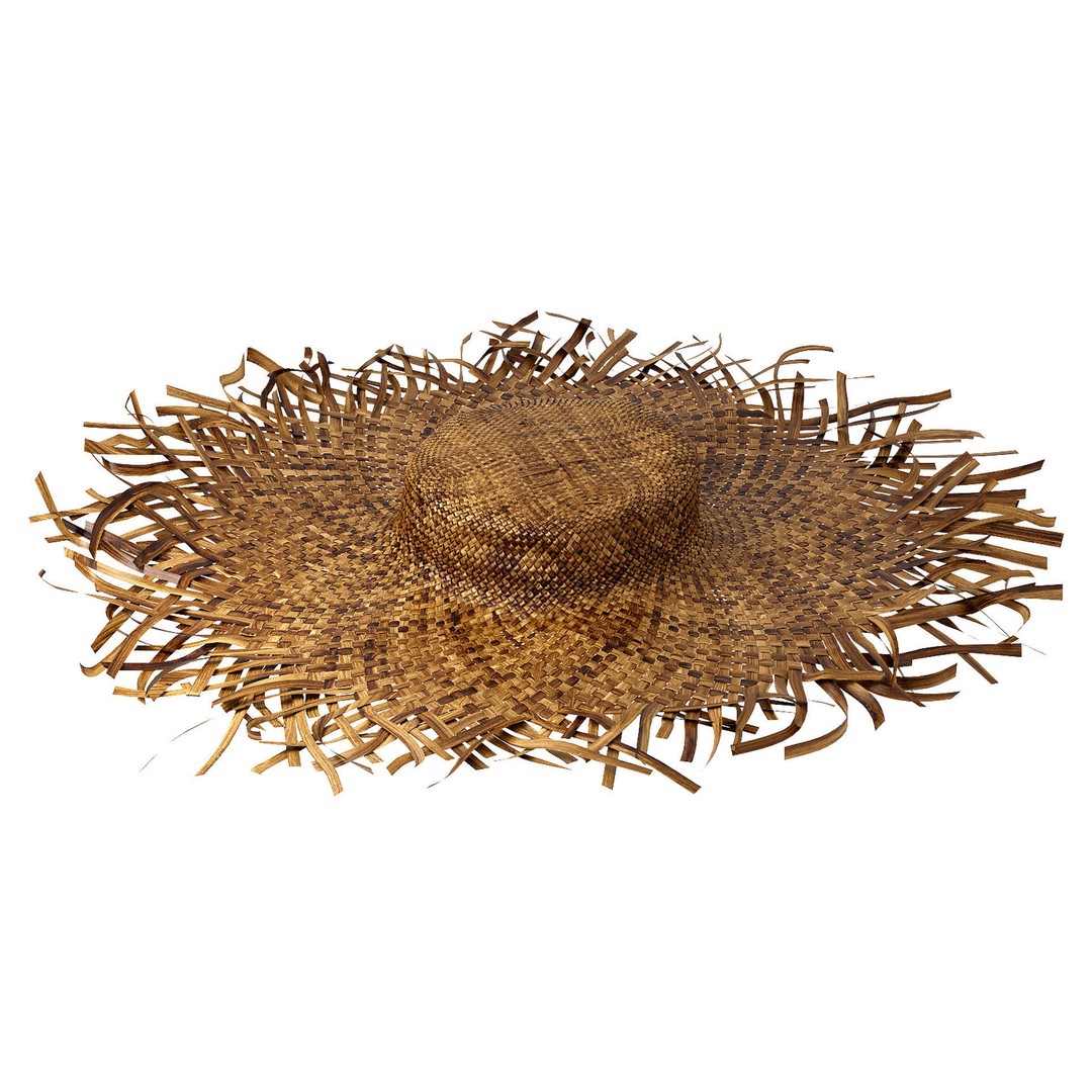 Balinese Straw Wicker Hat 3D Model – High Poly Bamboo Decor, FBX - View 4