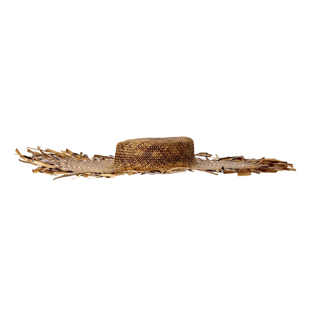 Balinese Straw Wicker Hat 3D Model – High Poly Bamboo Decor, FBX - View 5
