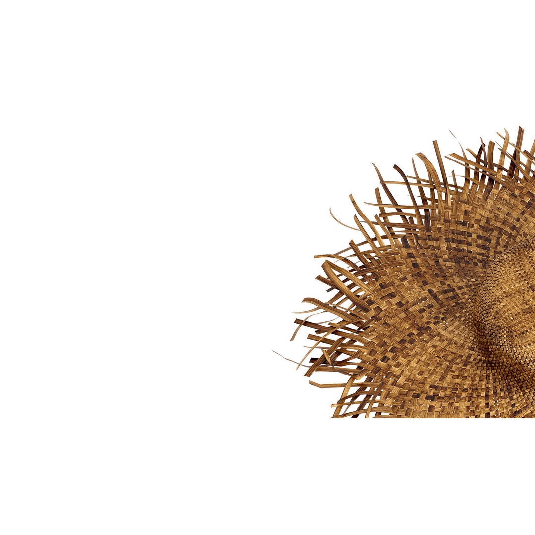 Balinese Straw Wicker Hat 3D Model – High Poly Bamboo Decor, FBX - View 6