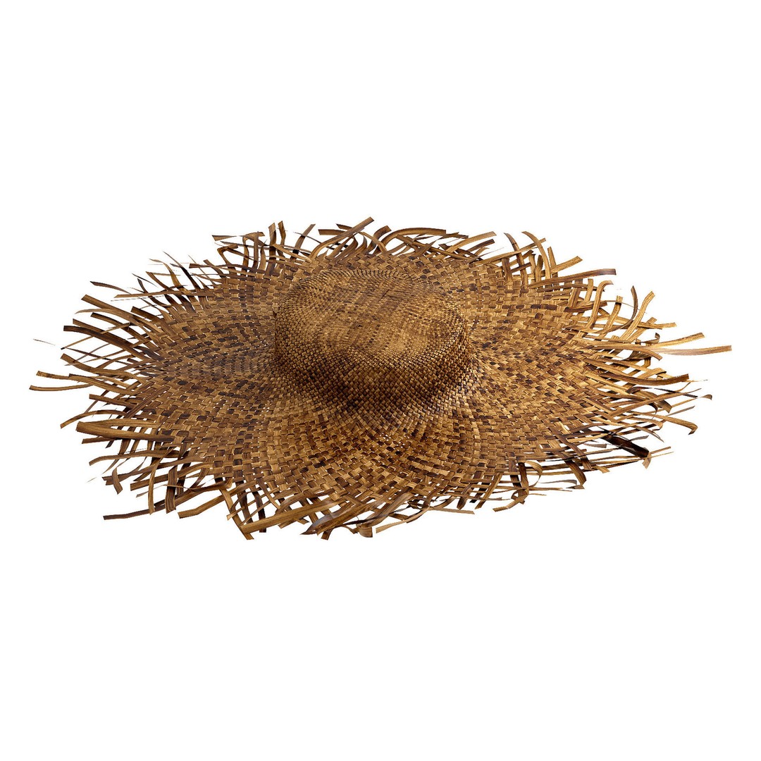 Balinese Straw Wicker Hat 3D Model – High Poly Bamboo Decor, FBX - View 7