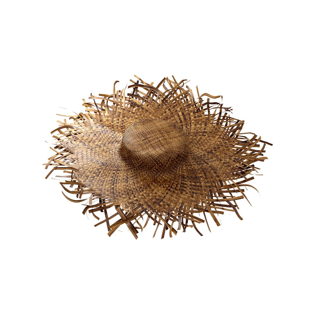 Balinese Straw Wicker Hat 3D Model – High Poly Bamboo Decor, FBX - View 8